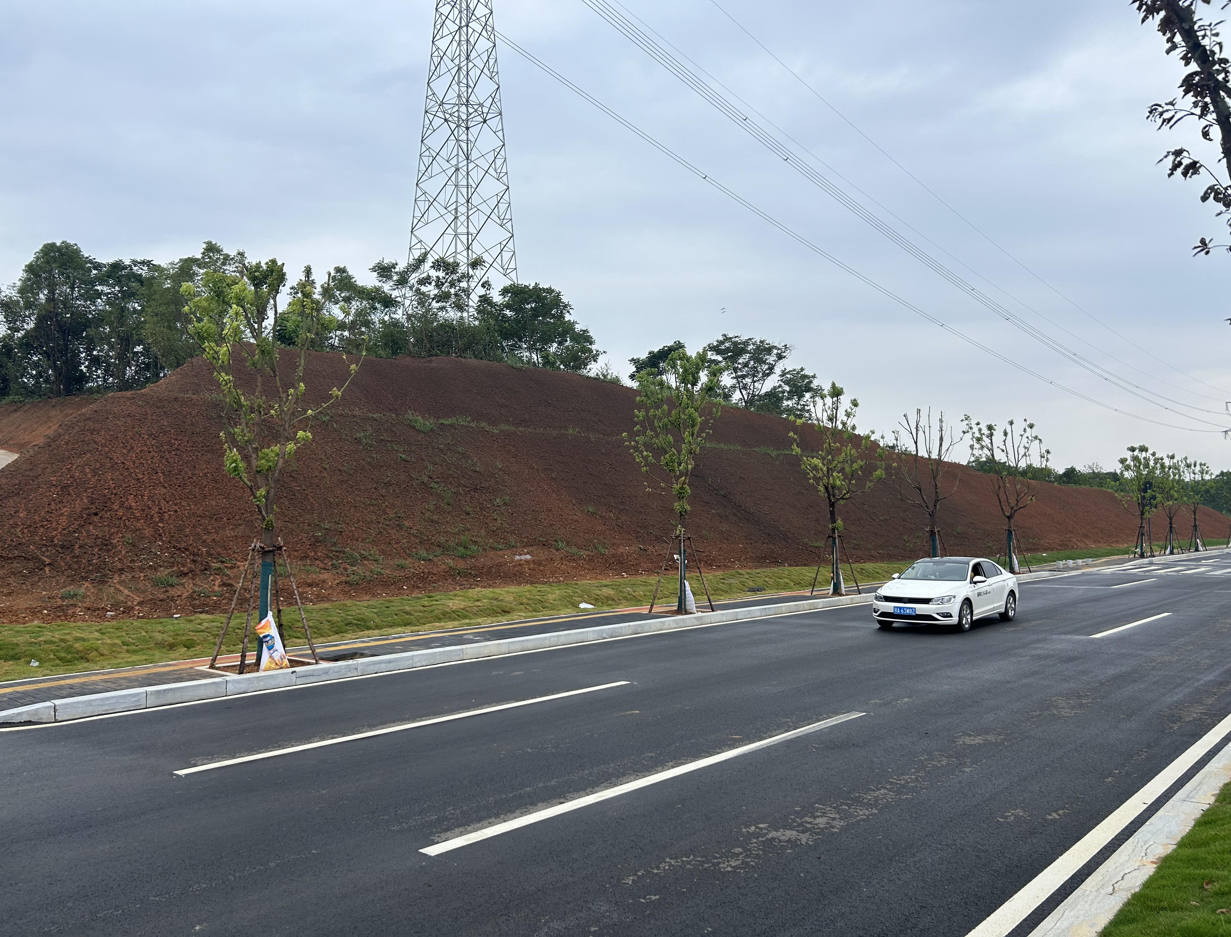 白洋臨港大道上段（田家河大道-天螺寺路）綜合市政工程邊坡綠化工程 順利完工！