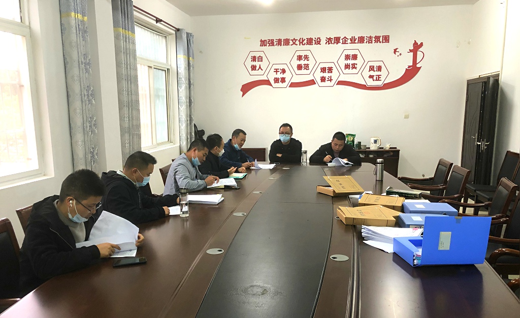 江夏區靈山工礦廢棄地復墾利用試點項目一期工程（類壤土噴播工程、主動防護網及掛網栽植工程）竣工初步驗收會議圓滿結束