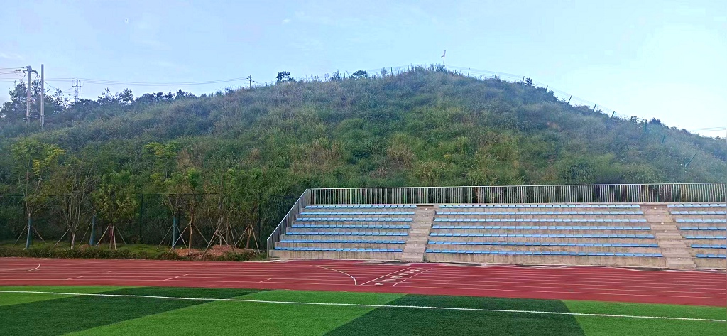 武漢商貿職業學院紅安校區足球場邊坡綠化工程順利完工！